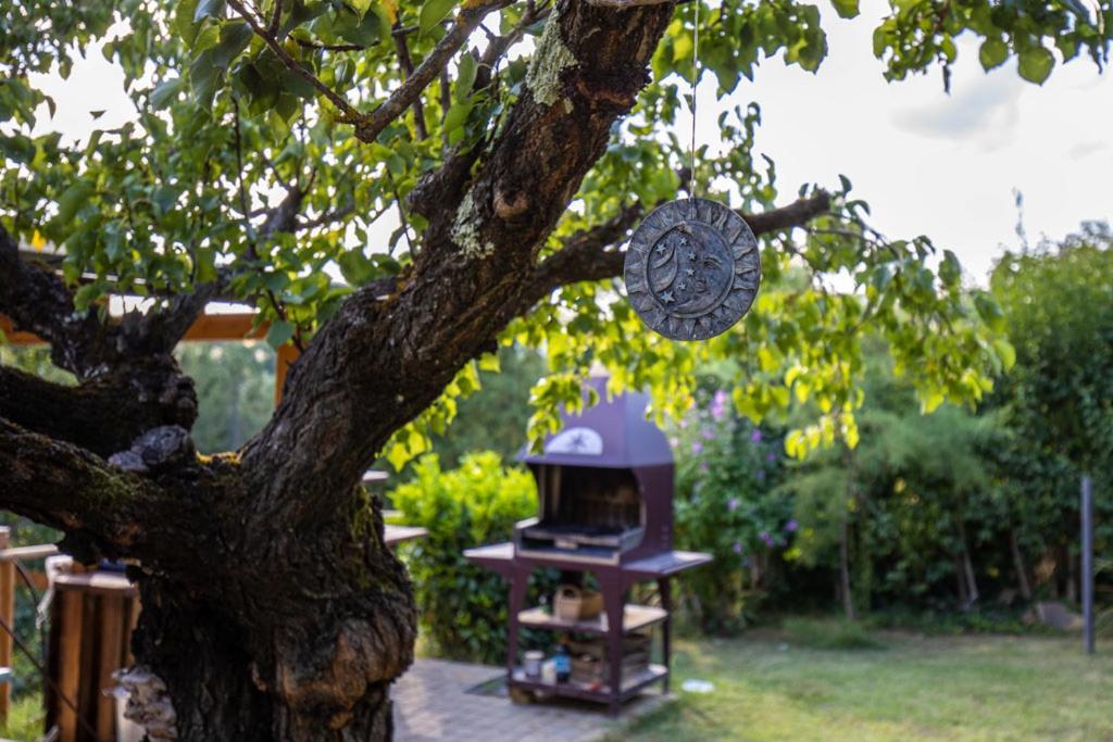 Toscana Da Sogno A Villa Allegria Siena Dış mekan fotoğraf